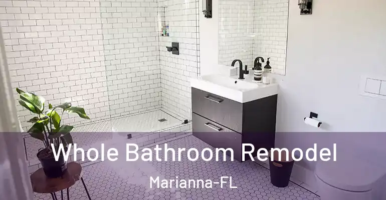 inner Bathroom imggen Whole Bathroom Remodel Marianna-FL