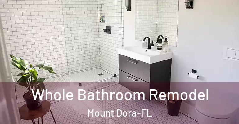 inner Bathroom imggen Whole Bathroom Remodel Mount Dora-FL