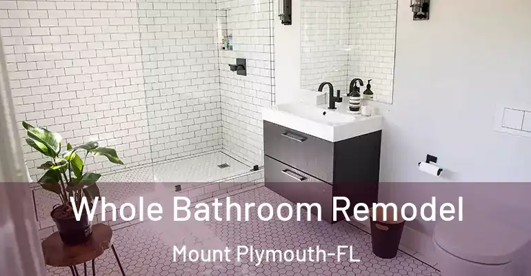 inner Bathroom imggen Whole Bathroom Remodel Mount Plymouth-FL