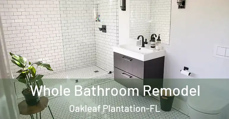 inner Bathroom imggen Whole Bathroom Remodel Oakleaf Plantation-FL