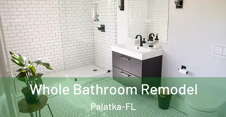 inner Bathroom imggen Whole Bathroom Remodel Palatka-FL
