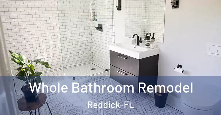 inner Bathroom imggen Whole Bathroom Remodel Reddick-FL