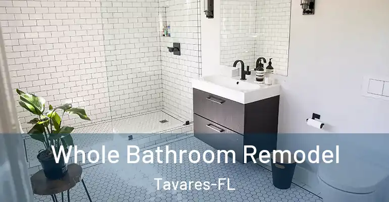 inner Bathroom imggen Whole Bathroom Remodel Tavares-FL